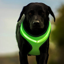 Load image into Gallery viewer, LED Luminous Dog Harness Led USB Charging Dog Chest Strap Vest Pet Safety Reflective Harness Pet Vest For Puppy Large Dog Pet Products