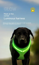Load image into Gallery viewer, LED Luminous Dog Harness Led USB Charging Dog Chest Strap Vest Pet Safety Reflective Harness Pet Vest For Puppy Large Dog Pet Products