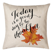 Load image into Gallery viewer, Thanksgiving Themed Pumpkin Pillow Cushion