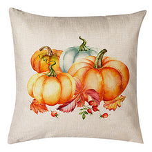 Load image into Gallery viewer, Thanksgiving Themed Pumpkin Pillow Cushion