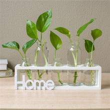 Load image into Gallery viewer, Hydroponic Glass Vase Decor
