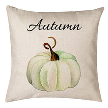 Load image into Gallery viewer, Thanksgiving Themed Pumpkin Pillow Cushion
