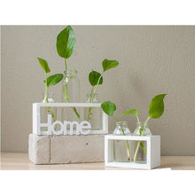 Load image into Gallery viewer, Hydroponic Glass Vase Decor
